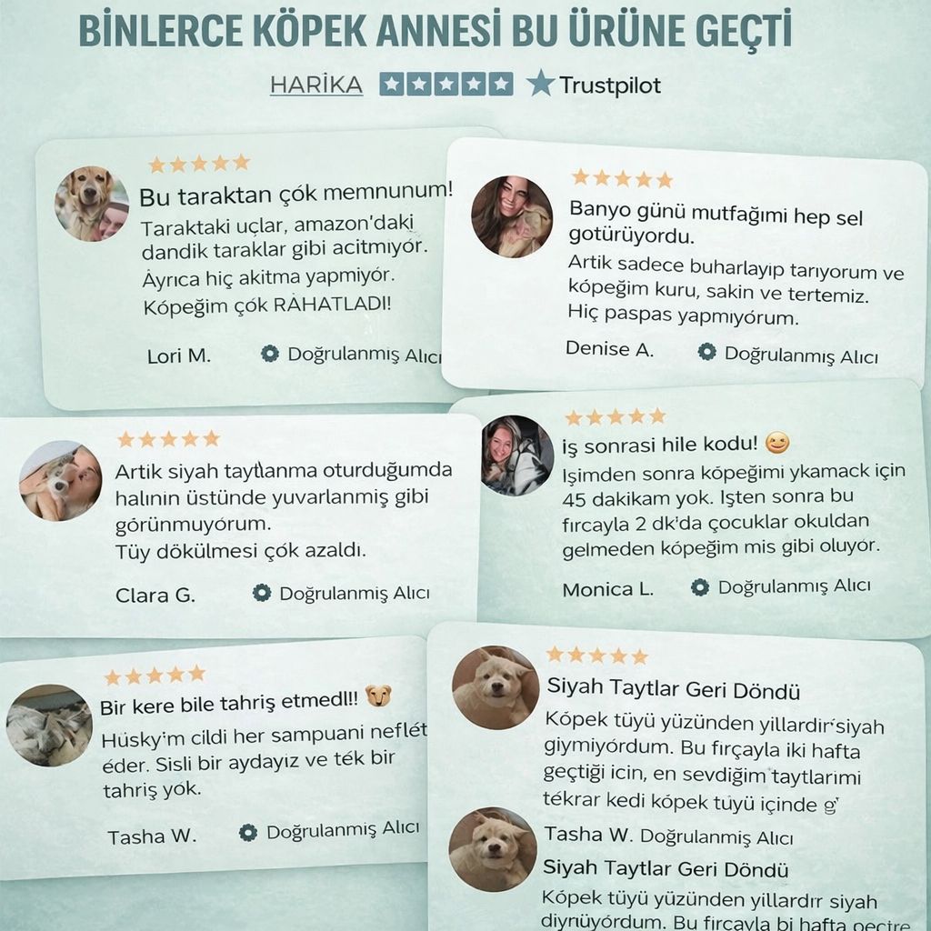 3’ü Bir Arada Buharlı Tüy Temizleyici