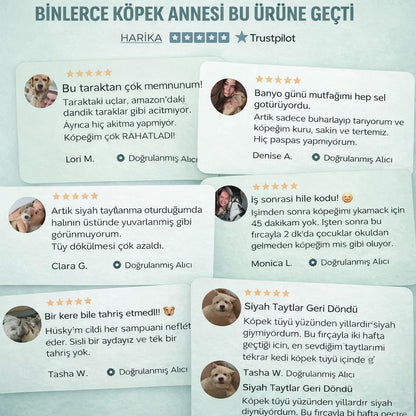 3’ü Bir Arada Buharlı Tüy Temizleyici